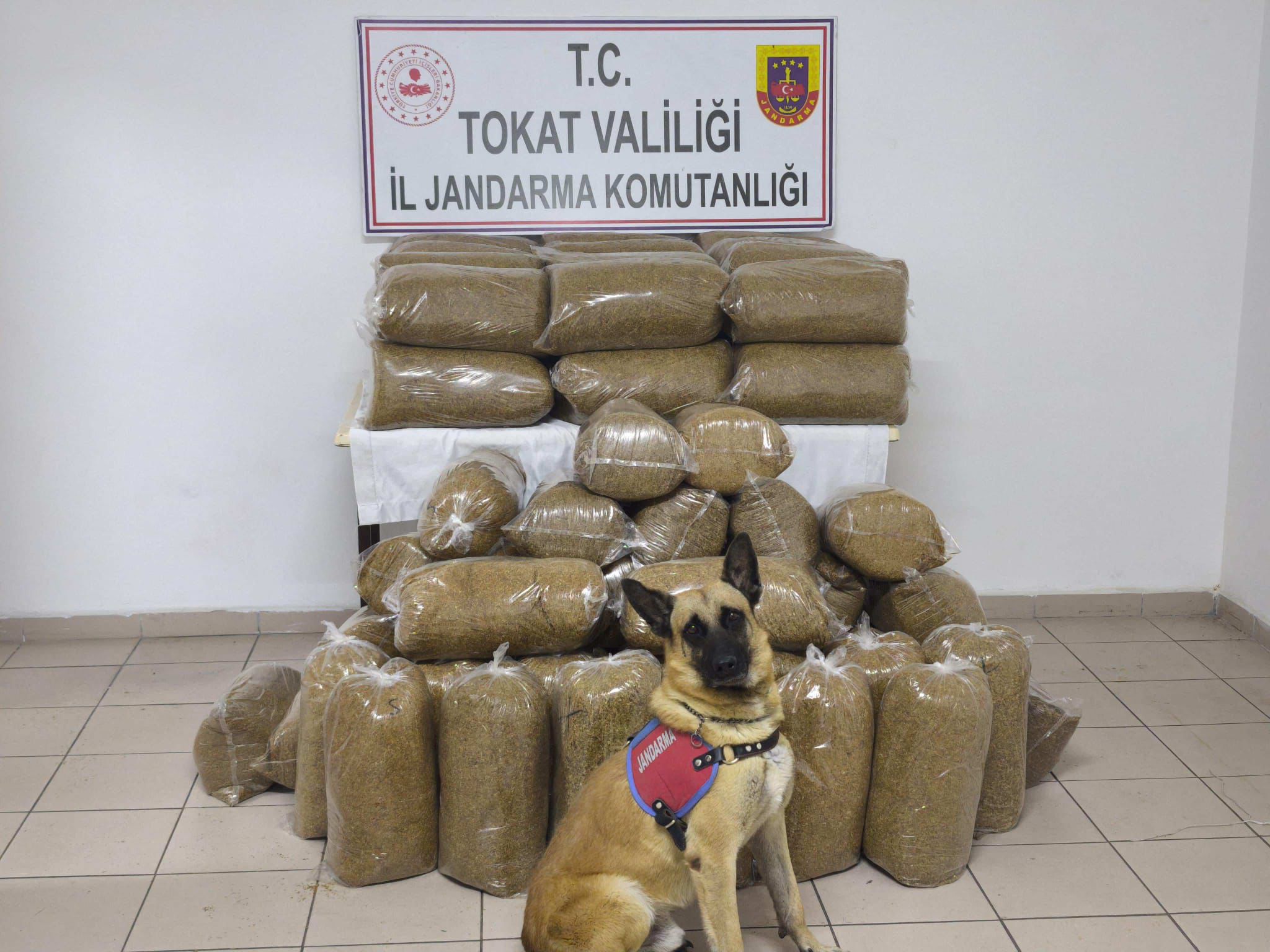 Tokat’ta Kaçak Tütün Operasyonu: 340 Kilo Tütün Ele Geçirildi