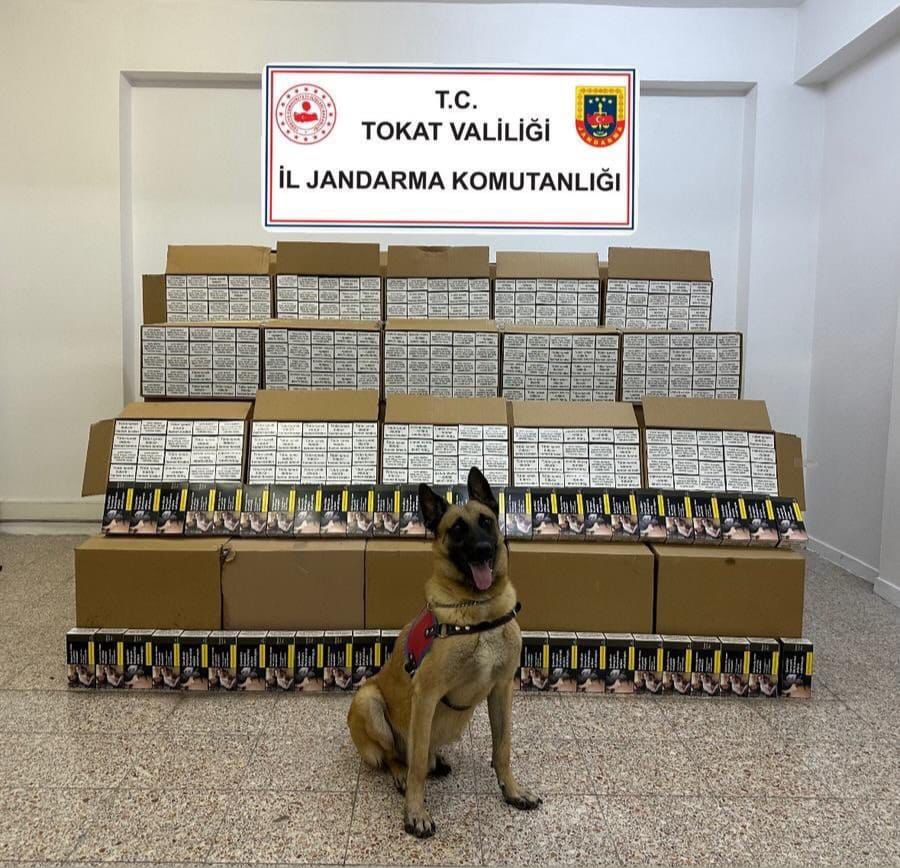 Yeşilyurt’ta  1 Milyon Makaron Ele Geçirildi