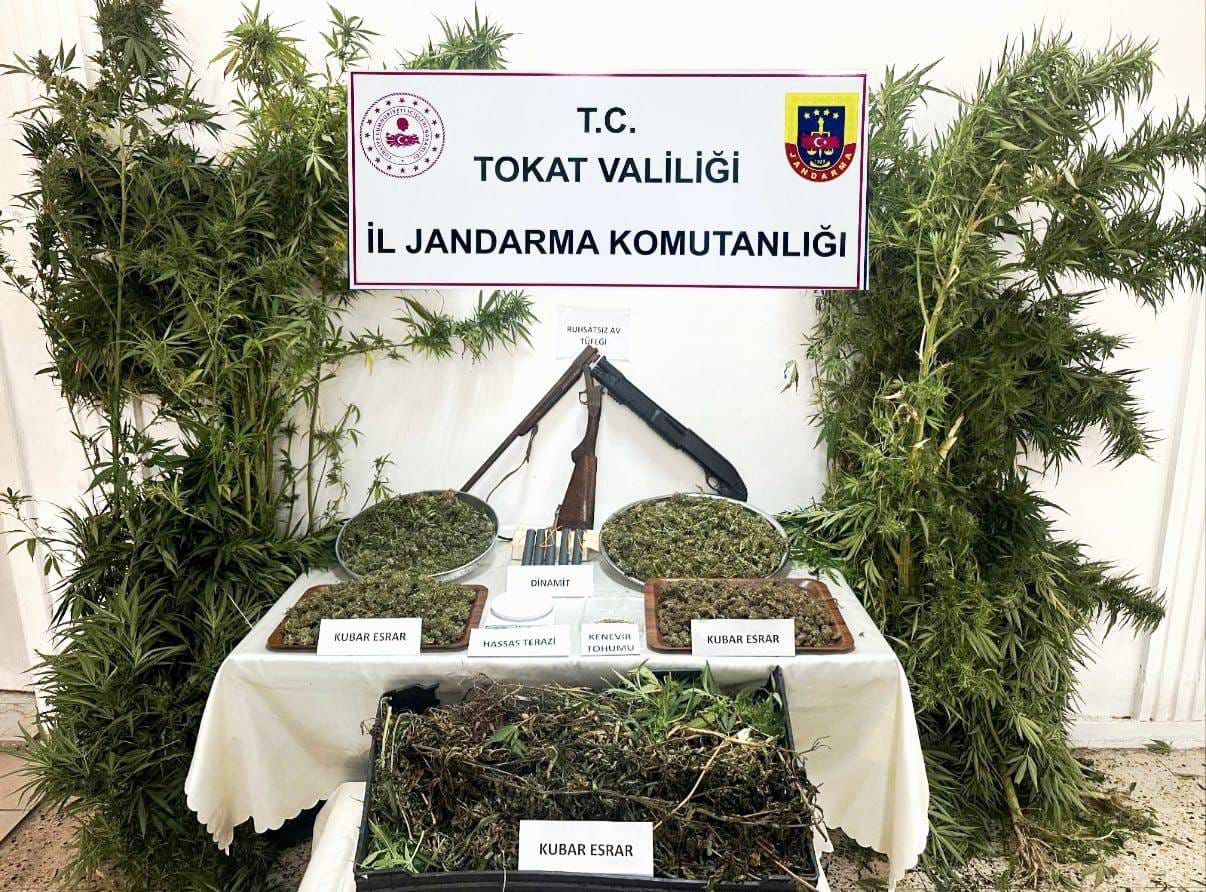Tokat’ta Kaçak Kenevir Operasyonu: 1 Kişi Gözaltına Alındı
