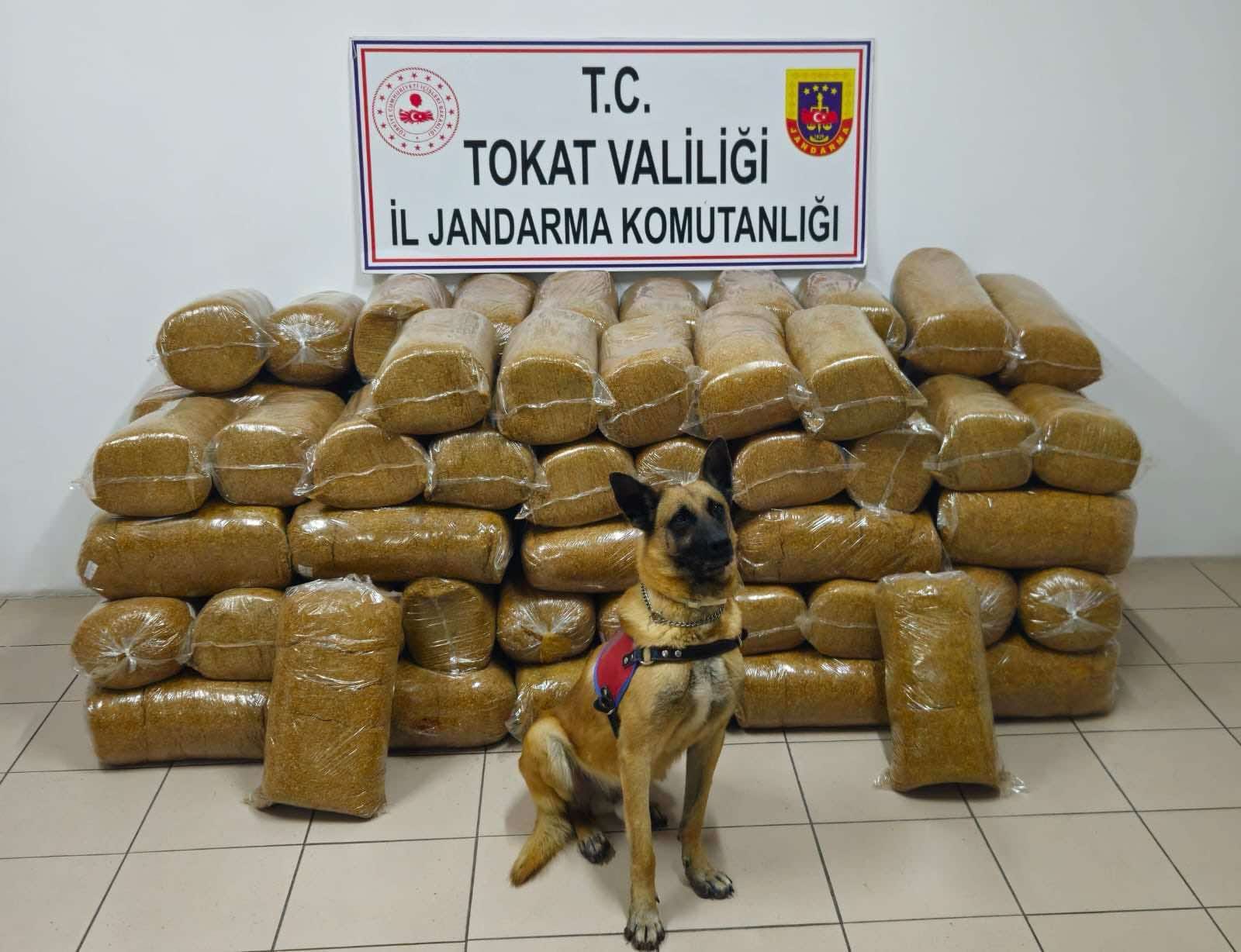 Tokat’ta 485 Kilogram Kaçak Tütün Ele Geçirildi